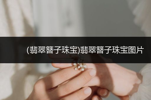 （翡翠簪子珠宝)翡翠簪子珠宝图片